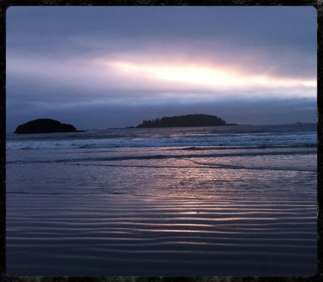 Tofino