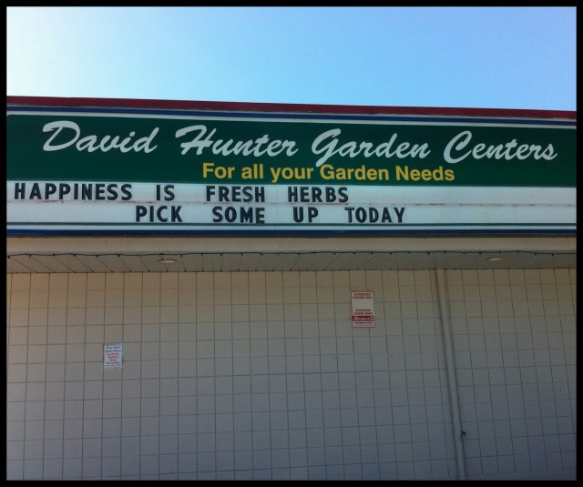 DIY Rustic Herb Box | Blue Owl Treats