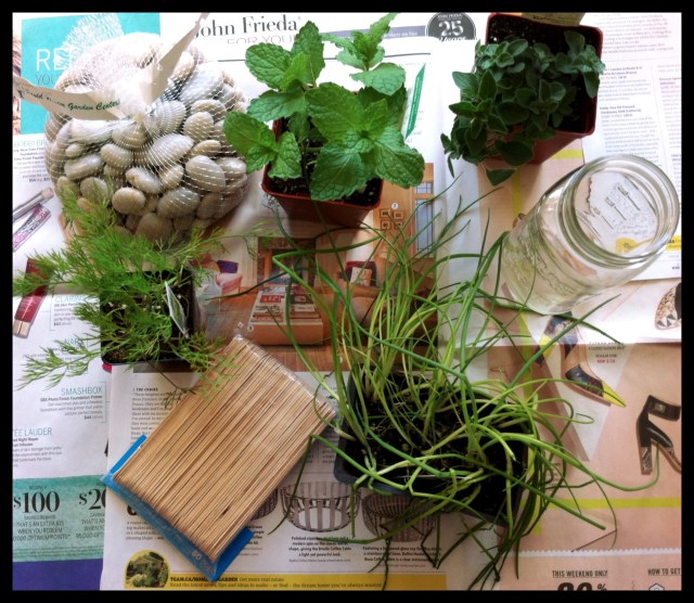 DIY Rustic Herb Box | Blue Owl Treats