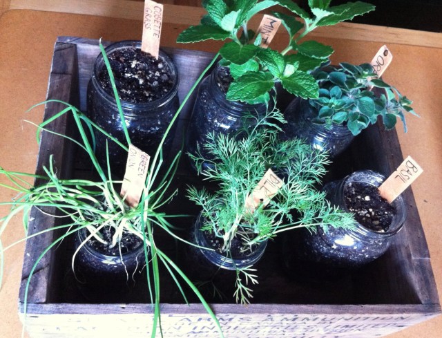 DIY Rustic Herb Box | Blue Owl Treats