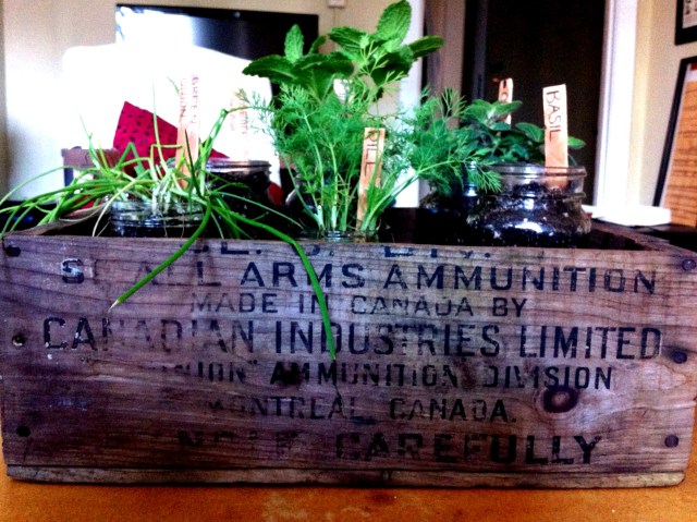 DIY Rustic Herb Box | Blue Owl Treats