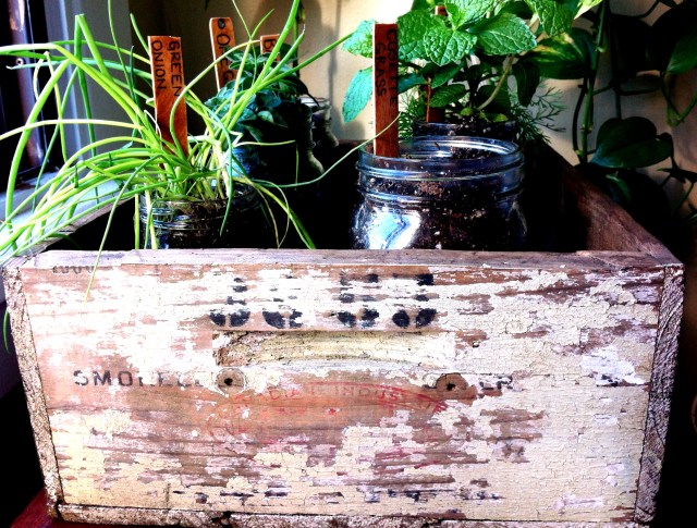 DIY Rustic Herb Box | Blue Owl Treats