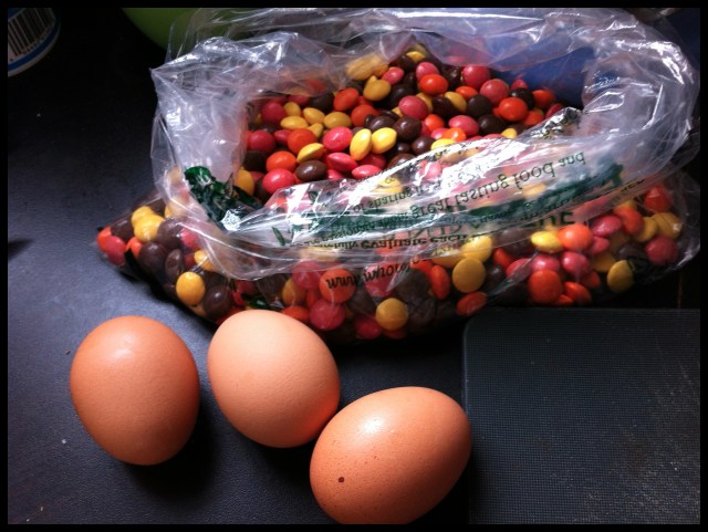 Smartie Cookies | Blue Owl Treats