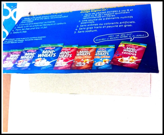 DIY Moleskine | Blue Owl Treats