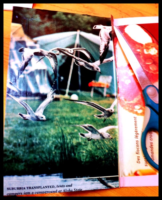 DIY Moleskine | Blue Owl Treats