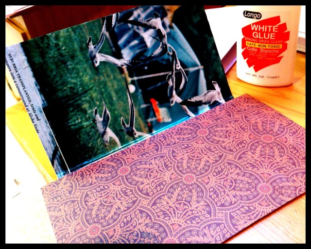 DIY Moleskine | Blue Owl Treats