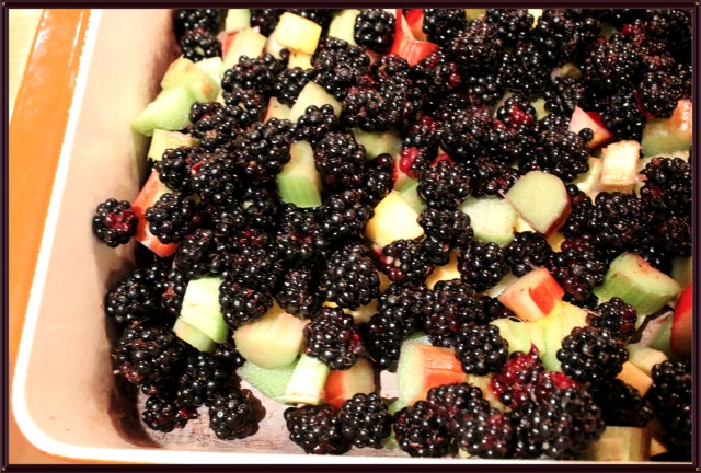 Blue Owl Treats | Blackberry Crisp