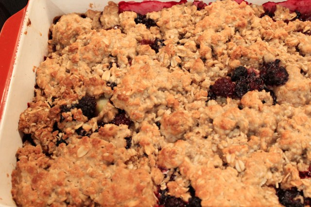 Blue Owl Treats | Blackberry Crisp