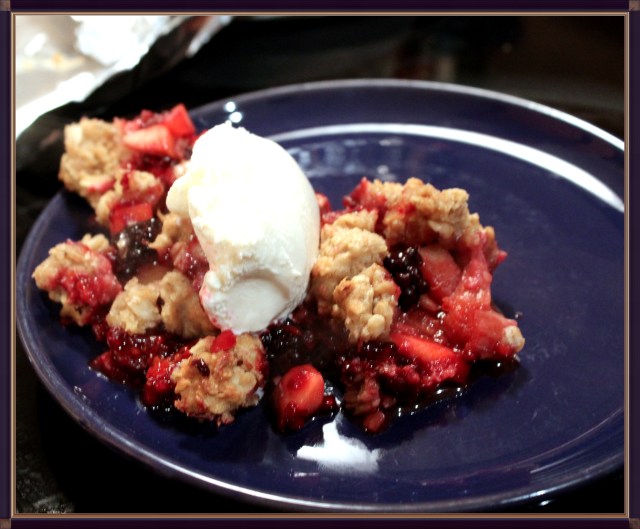 Blue Owl Treats | Blackberry Crisp