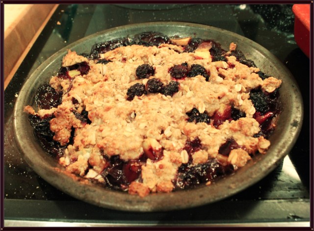 Blue Owl Treats | Blackberry Crisp