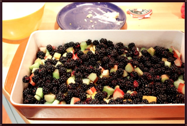 Blue Owl Treats | Blackberry Crisp