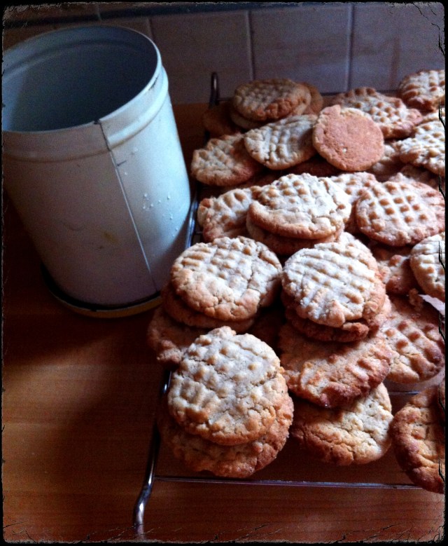 Salted Peanut Butter Cookies | Blue Owl Treats