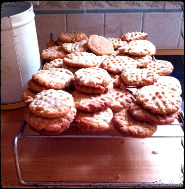 Salted Peanut Butter Cookies | Blue Owl Treats