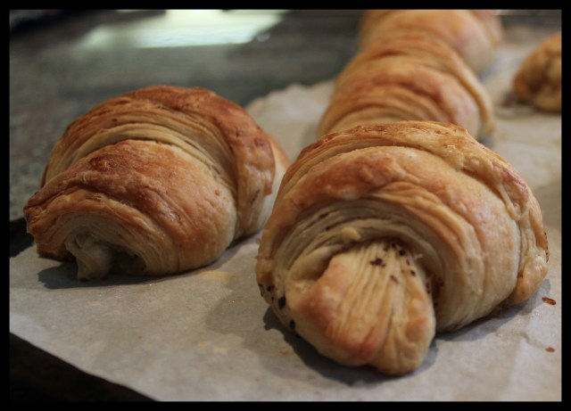 Pain au Chocolat | Blue Owl Treats