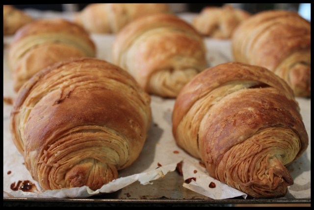 Pain au Chocolat | Blue Owl Treats