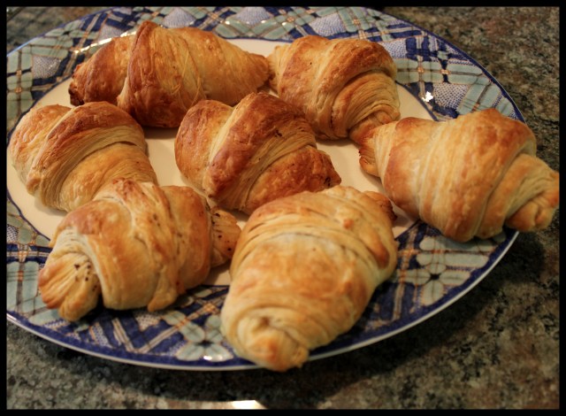 Pain au Chocolat | Blue Owl Treats