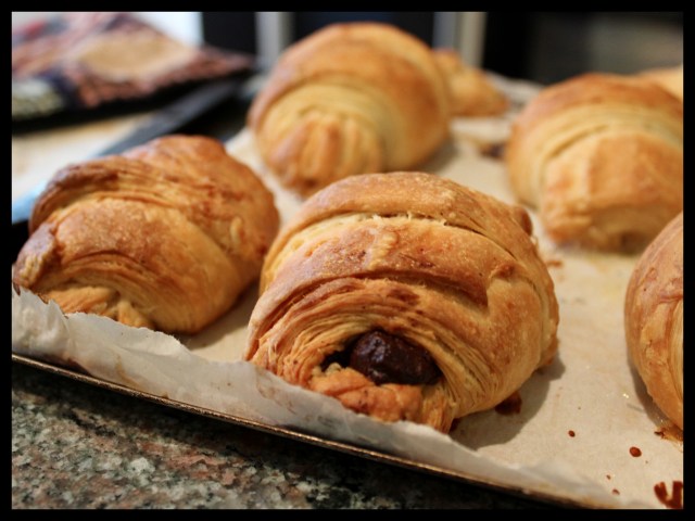 Pain au Chocolat | Blue Owl Treats