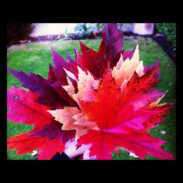 D.I.Y. Chalkboard | Blue Owl Treats