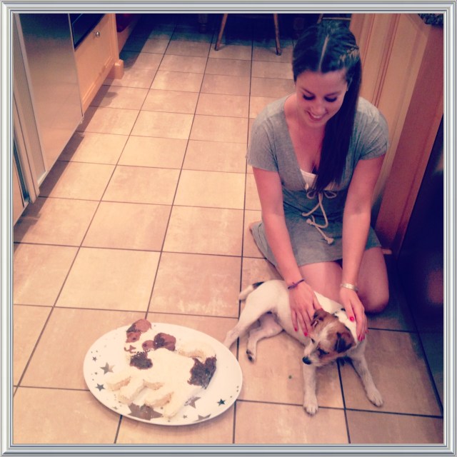 Puppy Cake | Blue Owl Treats