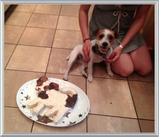 Puppy Cake | Blue Owl Treats
