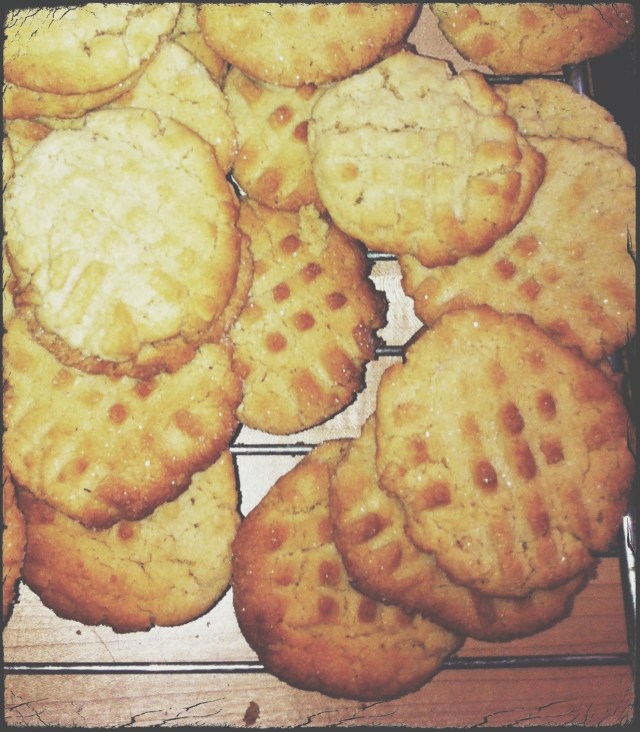 Salted Peanut Butter Cookies | Blue Owl Treats