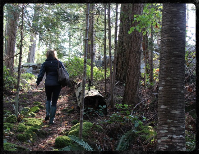 Healthy Power Cookies | Blue Owl Treats
