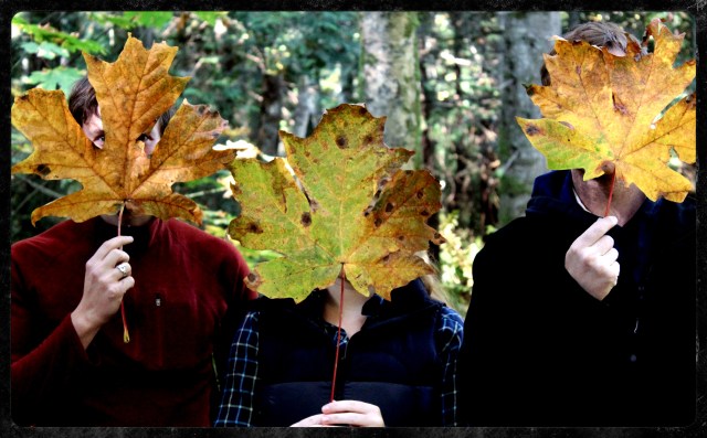 Healthy Power Cookies | Blue Owl Treats