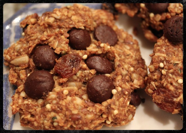 Healthy Harvest Cookies | Blue Owl Treats