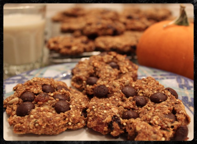 Healthy Harvest Cookies | Blue Owl Treats