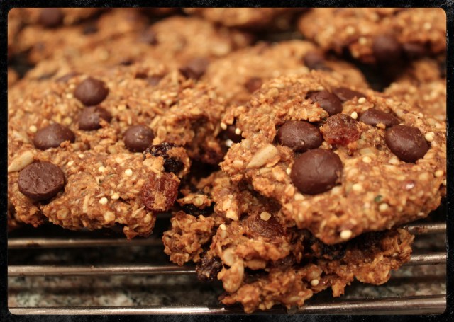 Healthy Harvest Cookies | Blue Owl Treats