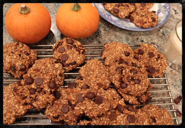 Healthy Harvest Cookies | Blue Owl Treats
