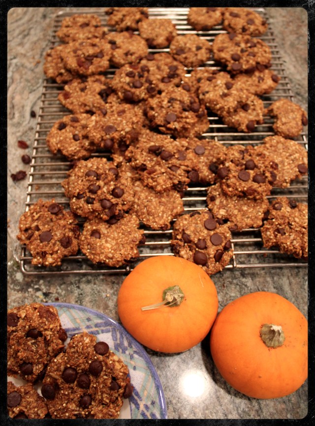 Healthy Harvest Cookies | Blue Owl Treats