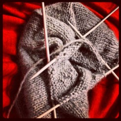 The Jersey Toque | Blue Owl Treats