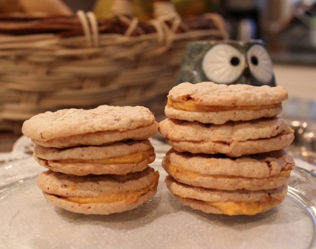 Pumpkin Buttercream Meringues | Blue Owl Treats 