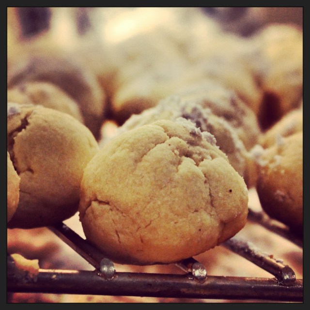 Snowdrop Cookies | Blue Owl Treats