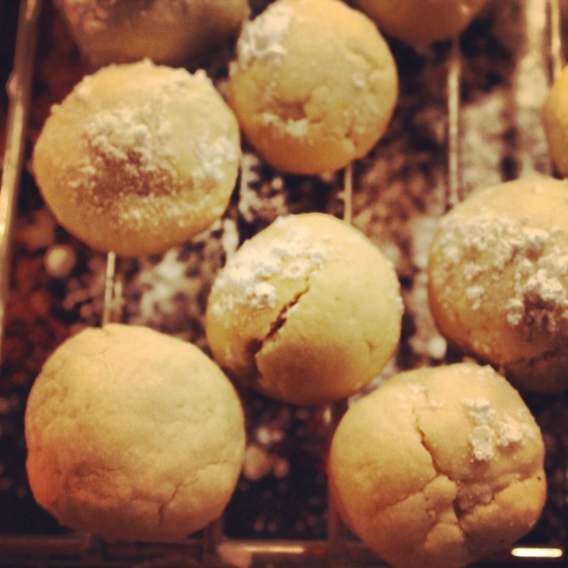 Snowdrop Cookies | Blue Owl Treats