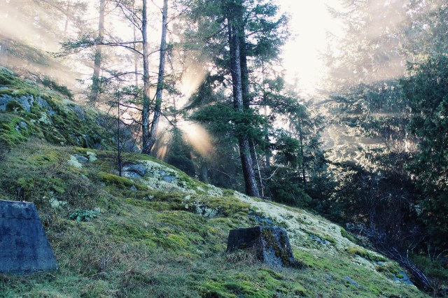 The Capriccio Cowl | Blue Owl Treats