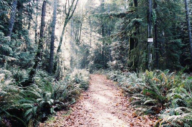 The Capriccio Cowl | Blue Owl Treats