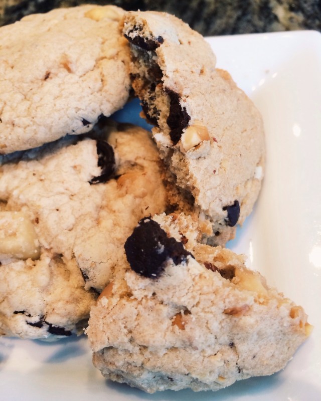 Nutty Chocolate Cookies | Blue Owl Treats