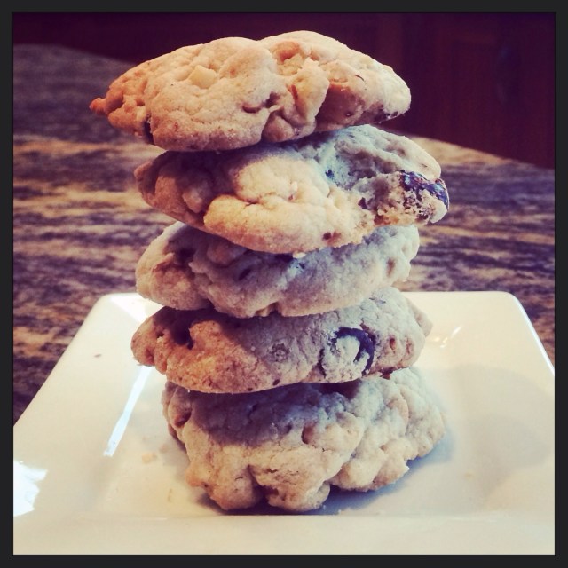 Nutty Chocolate Cookies | Blue Owl Treats