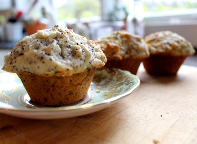 Lemon Poppyseed Muffins | Blue Owl Treats