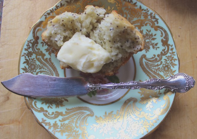 Lemon Poppyseed Muffins | Blue Owl Treats