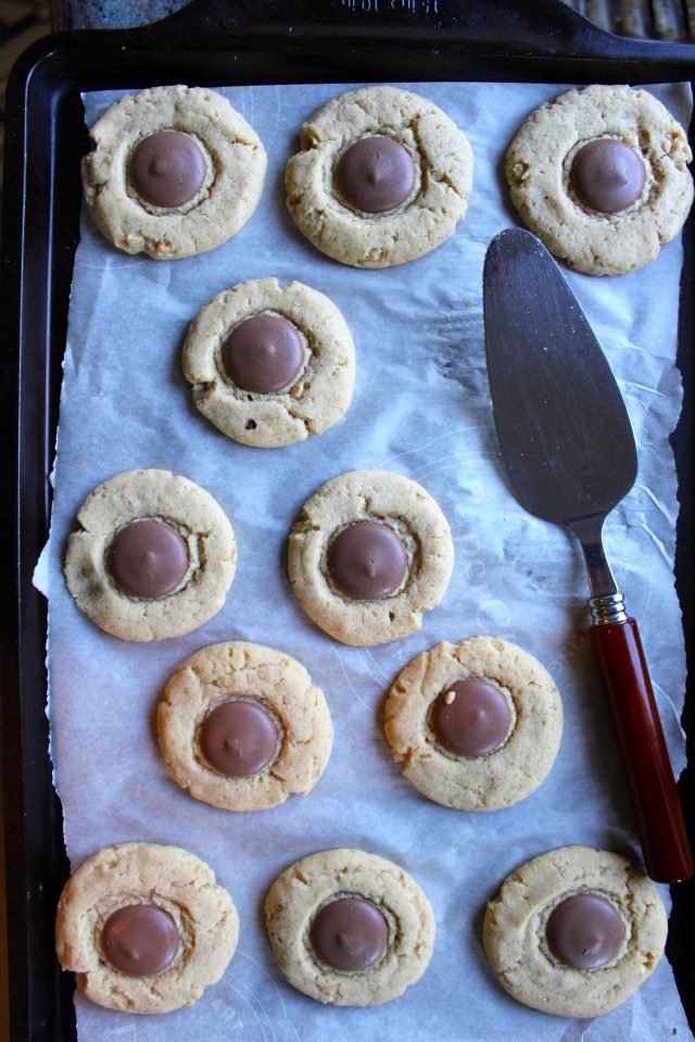 Milk Chocolate Peanut Butter Cookies | Blue Owl Treats