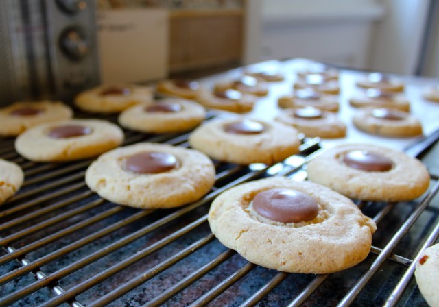 Milk Chocolate Peanut Butter Cookies | Blue Owl Treats