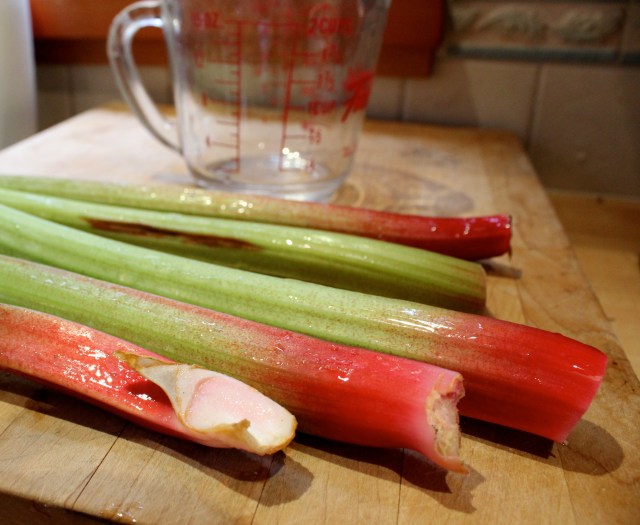 Raspberry-Rhubarb Pie | Blue Owl Treats