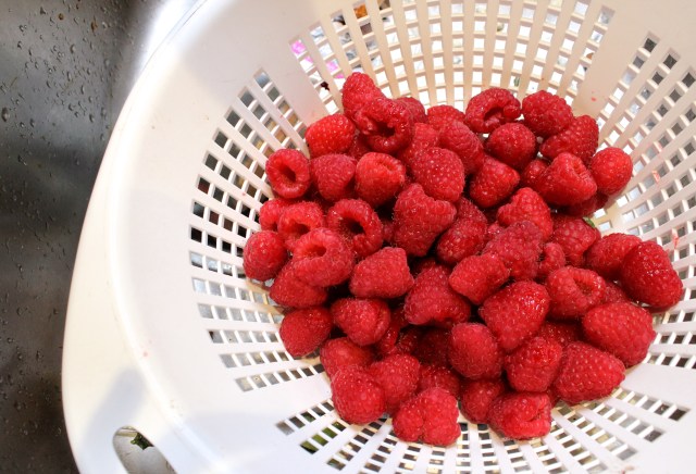 Raspberry-Rhubarb Pie | Blue Owl Treats