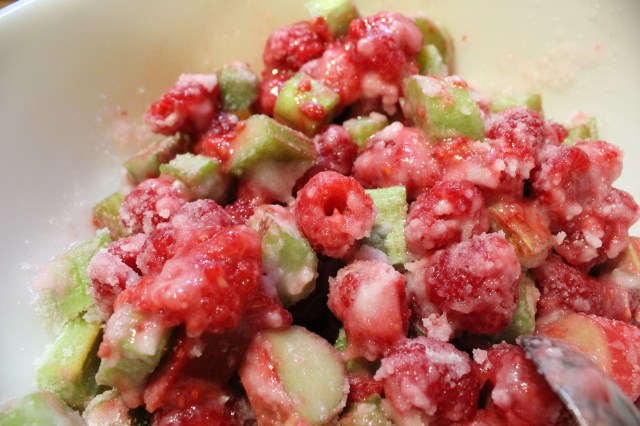 Raspberry-Rhubarb Pie | Blue Owl Treats