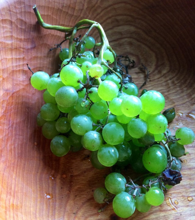 Chardonnay Grape Pie | Blue Owl Treats