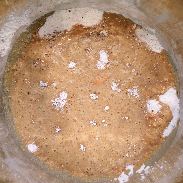 Ginger Molasses Pancakes | Blue Owl Treats