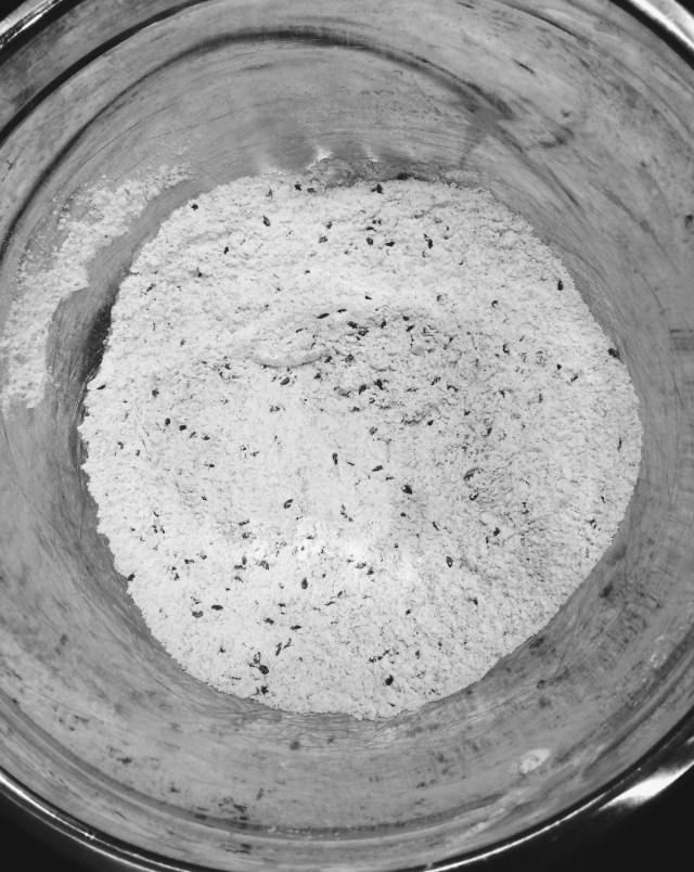 Ginger Molasses Pancakes | Blue Owl Treats